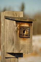An empty Nesting Box for Tree Swallows