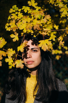 Portrait of a brunette girl under dry leaves.