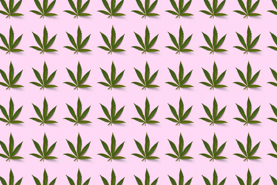 Cannabis green leaf pattern.