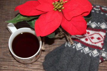 Bright red poinsettia and grey wool gloves