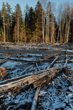 Deadfall