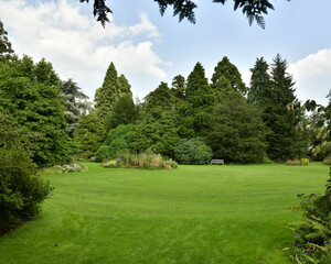 Fototapeta na wymiar La grande pelouse entouré de différents arbres à l'arboretum de Kalmthout au nord d'Anvers 
