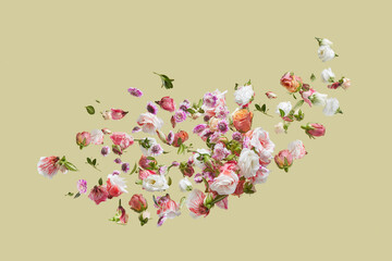 Floating natural flowers pattern.