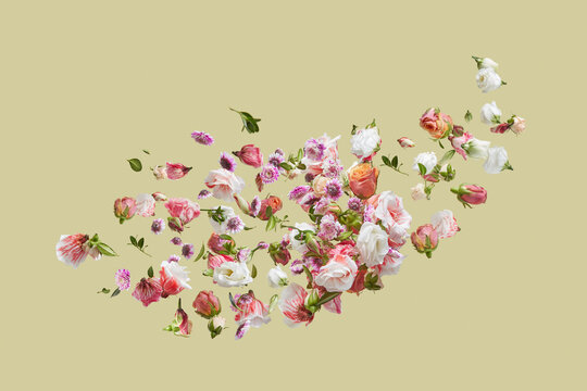 Floating natural flowers pattern.