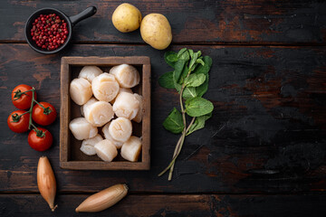 Sizzling seared scallops ingredients, top view, on dark wooden background  with copy space
