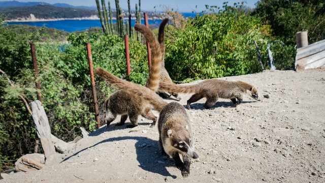 Saliendo del escondite