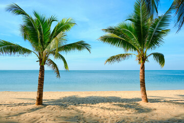 Sandy beach with coconut palm tree and blue sky . Tropical landscape . Summer vacations . 
