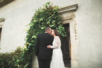 Sensual married couple, valentines hugging in front of old slavic castle