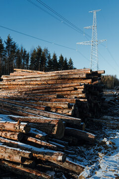 Wooden logs against power line