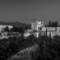 Alhambra en blanco y negro