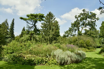 Parterres de végétation luxuriante entre les différents arbres d'une incroyable beauté à...