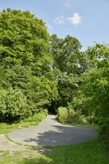 Variété d'arbres et plantes diverses à l'arboretum de Kalmthout au nord d'Anvers