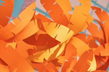 The palm orange leaf on the sky background