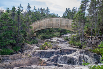 A wooden arch bridge with a rail over a fast flowing river. The footbridge spans a cascading waterfall with a blurred motion from the small river. The bridge is surrounded by tall green evergreens.  
