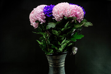 Bouquet of velvet chrysanthemums in a vase close-up