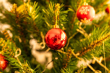 Christmas balls on a Christmas tree