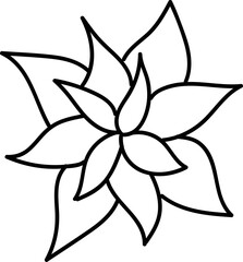 Hand drawn doodle poinsettia. Line style illustration.