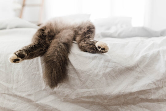 Relaxation
