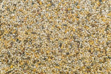 brown pavement lined with tiny round pebbles 