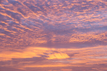 Naklejka na ściany i meble cirrus clouds at sunset over the sea