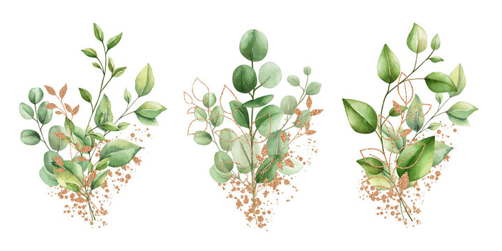 Set of watercolor floral illustration isolated on white background. Bouquet of plants, eucalyptus, olives, trees, branches, gold elements and paint splashes. Hand draw Trendy template for print
