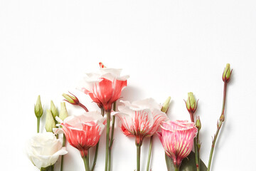 Festive border from Eustoma flowers.