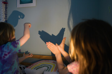 Siblings Playing with Shadow Shapes of a Bird and Monster on the Wall