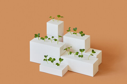Vertical blocks and cubes with growing microgreen.