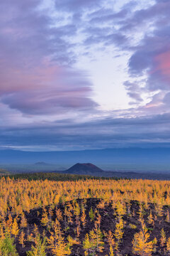 Sunset scenery above dead forest area with recovered ecosystem in Kamchatka.