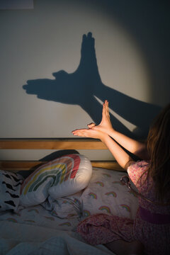 Little Girl's Hands Making the Shadow of a Bird on the Wall