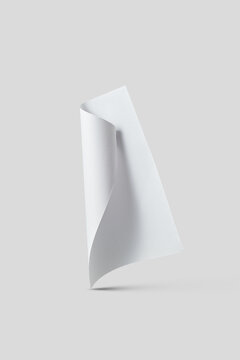 Rolled Paper Sheet Vertically Standing