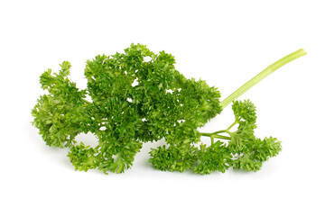 Fresh Parsley Herb Isolated on White Background.