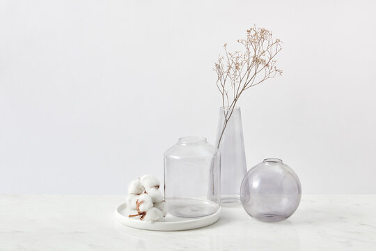 Eco set from plant and glass vases.