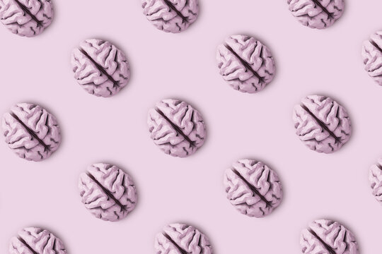 Brain models pattern pink colored.