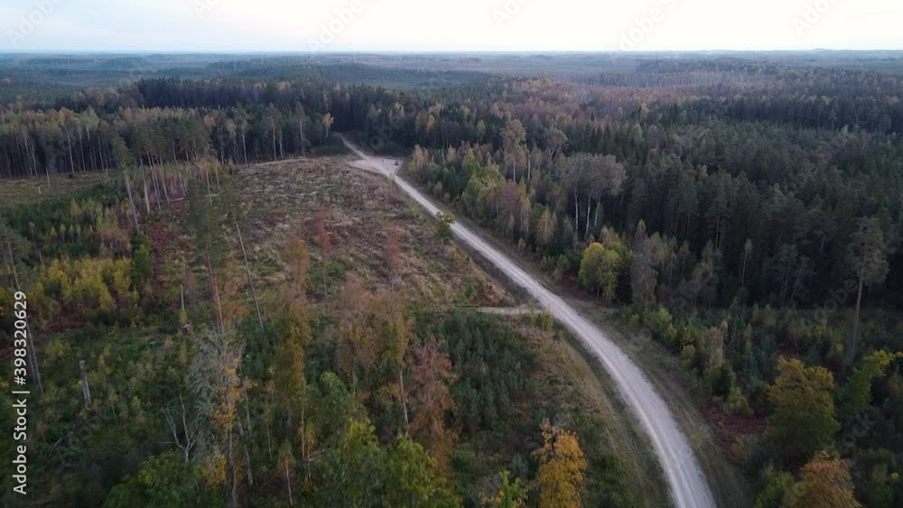 Poster technical forest path road for forestry recreation and logging aerial view