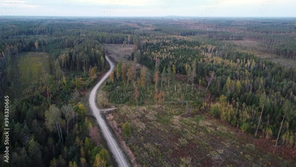 Poster technical forest path road for forestry recreation and logging aerial view