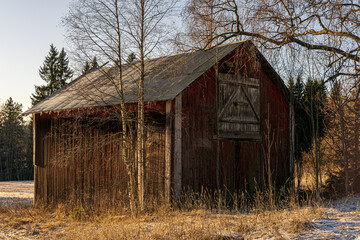 Fototapeta premium small barn in the forest