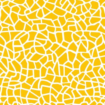 Melon logo. Isolated melon on white background