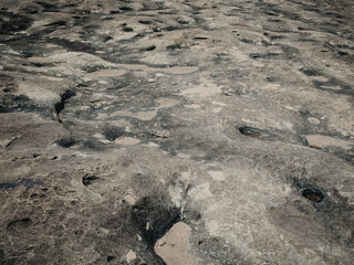 Tiny ephemeral pools in Canyonland National Park