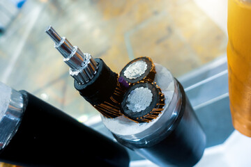 Sample multicore cable. Cut and stripped wire