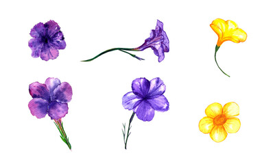 Watercolor collection of purple and yellow flowers isolated on a white background