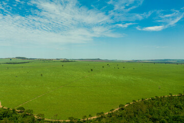 aerial view of area with forest and sugarcane plantation in Brazil