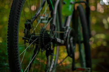 soft focus cycle detail wheel and chain foreground object view in outdoor forest environment space