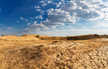 Beautiful desert landscape with dunes. Walk on a sunny day on the sands.
