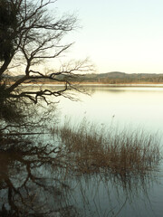 Lake Staffelsee, nature landscape with mountain panorma, Bavaria, Germany