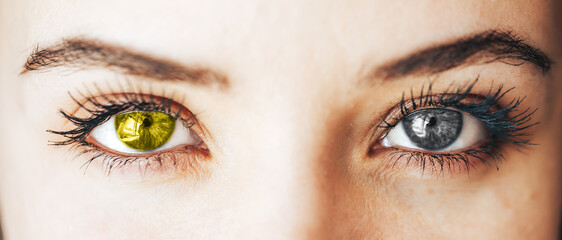 close up gray and yellow Illuminating Eyes, concept photo of year color, 2021.
