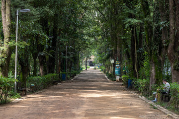 Fototapeta premium Parque do Piqueri em São Paulo