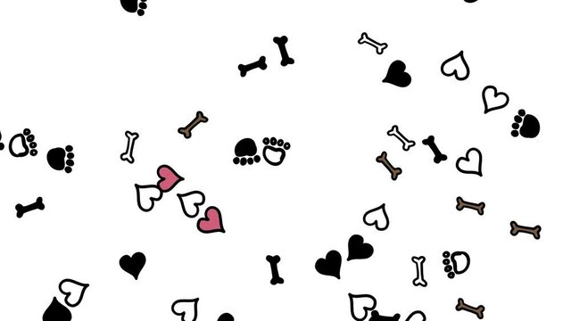 Canine pattern. Bones, footprints, hearts and paws flying on white background in random directions. 4k video animation can be used as a screensaver.