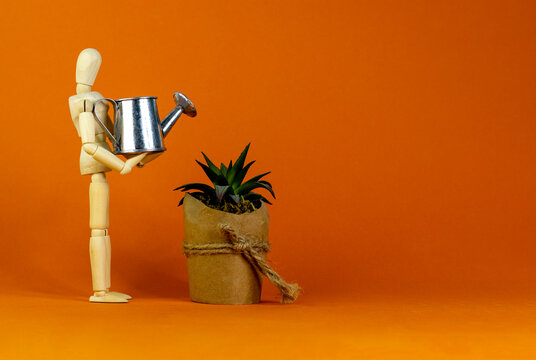 Business growth success process symbol. Wooden manequin, house plant from, miniature watering can. Beautiful orange background. Business and growth success process concept, copy space.
