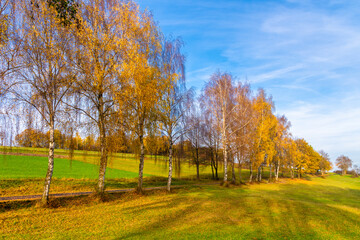 Fototapeta premium Burg Braunfels in Hessen im Herbst, ist immer eine Reise wert